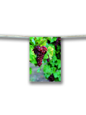 Guirlande Papier Photo raisin rouge