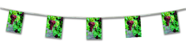 Guirlande Papier Photo raisin rouge